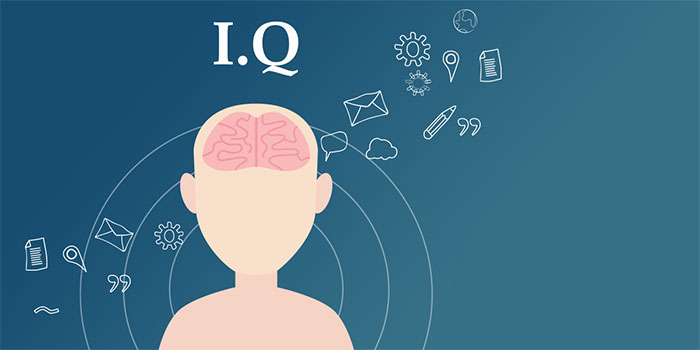 Chỉ số IQ là gì? IQ bao nhiêu là cao?