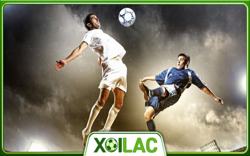 Xôi Lạc 365 – Trang web cập nhật bảng xếp hạng trực tuyến hàng đầu