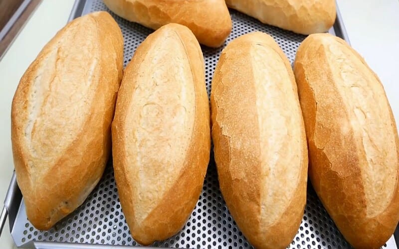 8 mẹo vặt chống say xe hiệu quả đơn giản nhất cho mọi chuyến đi
