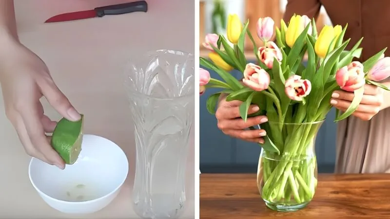 Cho đường, nước chanh, giấm, aspirin hoặc nước ngọt vào bình có thể giúp hoa tươi lâu hơn nếu được pha với tỷ lệ chuẩn.