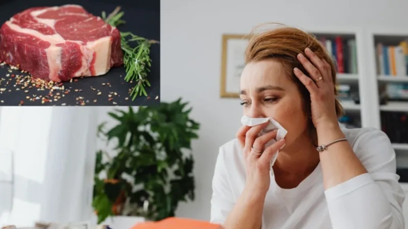 Sản phụ từng dị ứng với thịt bò hoặc thường xuyên khó chịu tiêu hóa sau khi ăn nên thận trọng và trao đổi với chuyên gia y tế khi cần