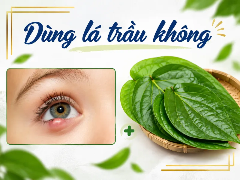 Lá trầu không thường được sử dụng trong dân gian nhưng cần chú ý khoảng cách và nhiệt độ khi xông gần mắt.